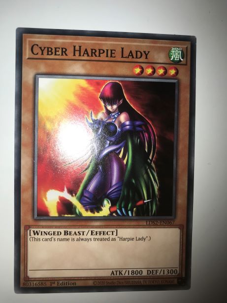 Cyber Harpie Lady